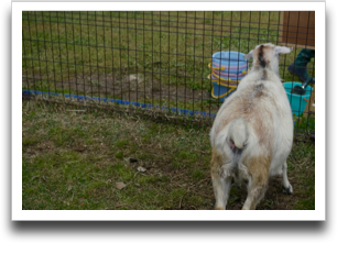 �����ĎR�r�̃Z�N�V�B�V���b�g