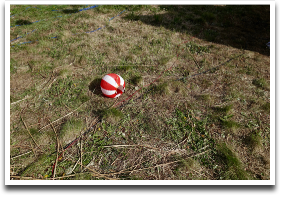 �������ɒ񓔂̂P���炢�A���Ŕ�Ԃ�ˁE�E�E