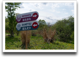 �Ìy�֌�������������A�ނ�ʂ�߂���񂾂�I