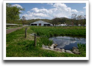 ��������Ԋ}�B��́A���\�D��