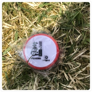 �Ԃ����[���[�͐��`�̈�