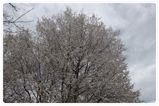 �킸���Ɏc���Ă�����̂P