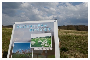 �u�ɂ̓I�L�i�O�T���炢�Ă��܂�