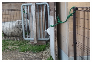 �ʐ^�B����̒p����������