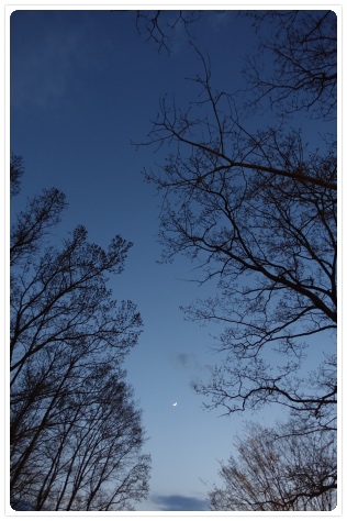 ��ɂȂ�����O�������B��