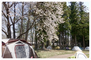 �X�^�b�t�e���g���΂����낻��I��肩��