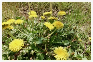 �^���|�|�I