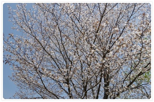 �������Ƃ�����ƕ�����Ȃ�����