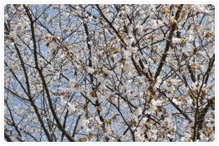 ���Ζ��x���߂̍��I