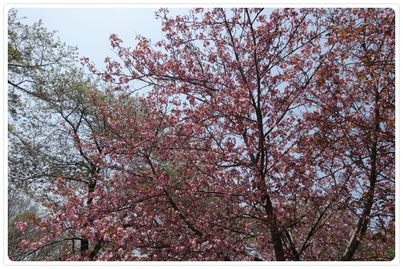 �g�����Ă��䂱�Ƃ������񂩂ˁB