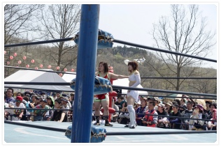 ���{��h�Ɣ��P����