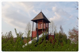 ����ς肱�̊����̎ʐ^�͕K�{