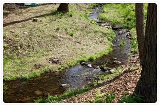 ���삪����Ă���܂�