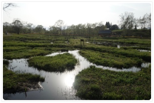 �[�z�̒��ލ��̏��n