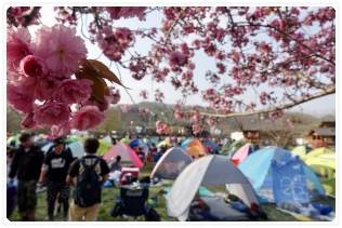 ��������g��𒭂߂�l�X