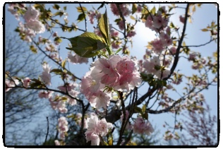 �Ȃɂ��ɂ��ꂪ�x�X�g�V���b�g����