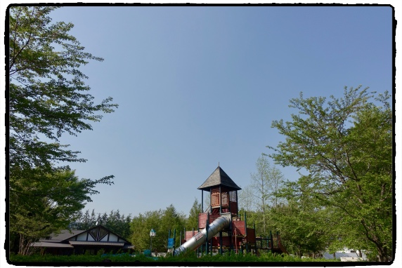 �����̊����́A�؂̉Ԃ���I����Ă���