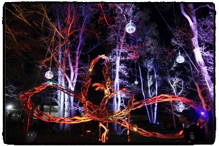 ��̃h���S����