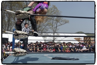 ������u�����o�X�^�[�ȃ`�T�R