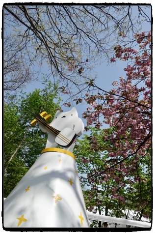 ���邢���Ԃ��A�܂��ꋻ�B