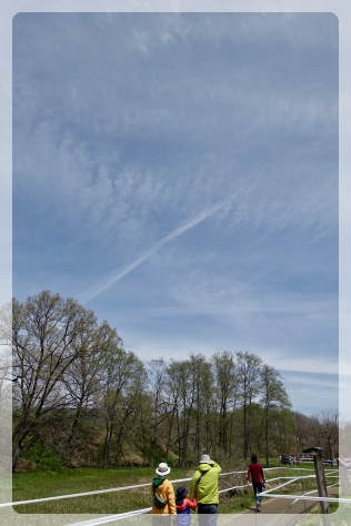 �܂�ŊG�ɕ`�����悤�Ȃ������i