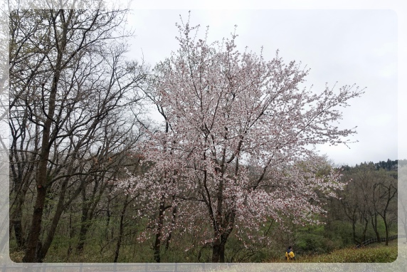 �ו��󂯎�肻�΂̍��͍��N�����J�C��