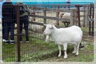 �R�r����Q�������B