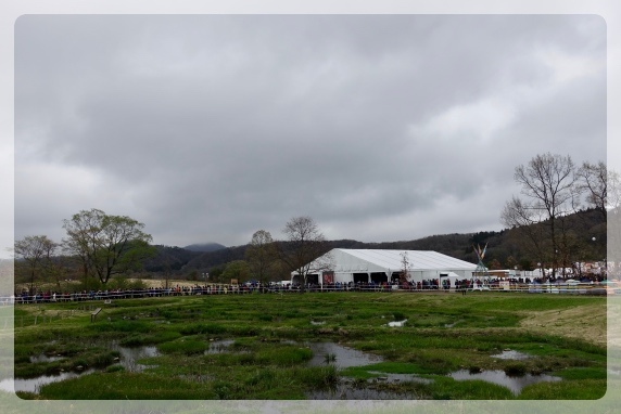 ��������Ԋ}