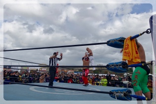 �q�ݓn�蒆�@���̂P