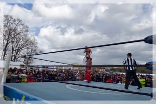 �q�ݓn�蒆�@���̂P