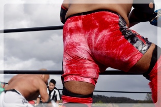 �V�[�T�[���̂��K