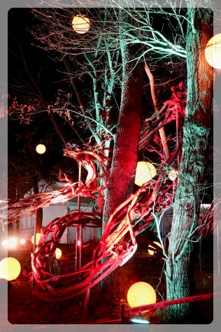 �N�X�A���͍��������Ă����Ă���炵��