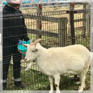 ���傤�ǌX���␳������炪�B��Ă��傤�ǂ���