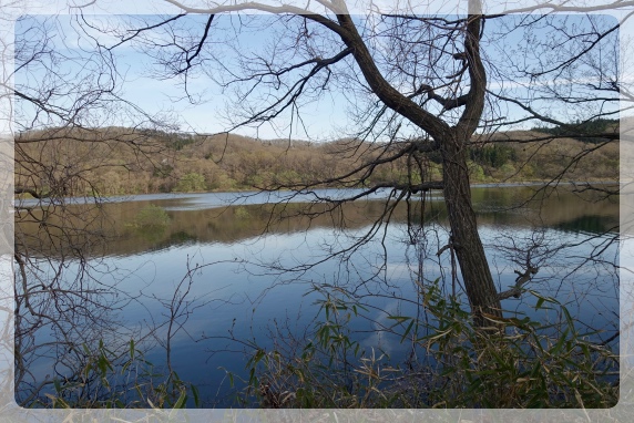 �Ìy�̌��ɂ́A���[�_���΂��L�����Ă��ł�