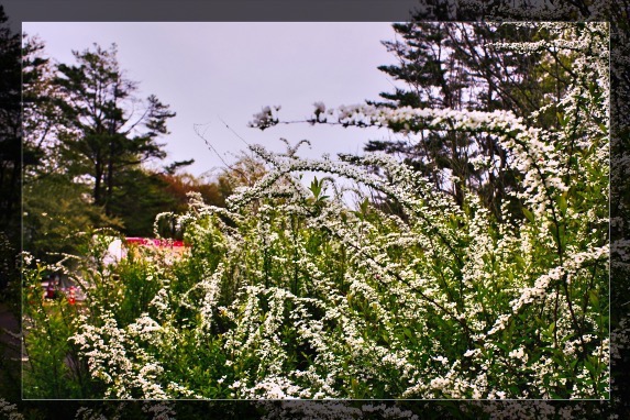 こっちはそこまでよく撮れていないかもしれない