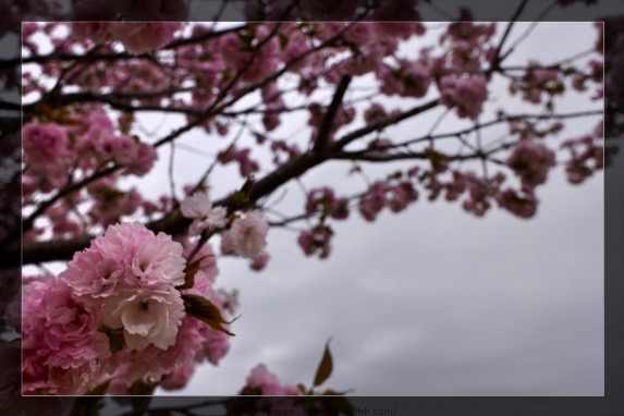 この色味、凄い好き