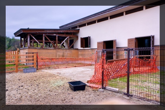 羊も山羊もおらんかった