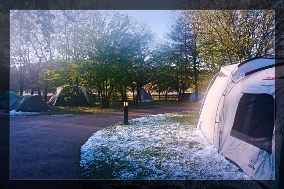 レンズが曇っていたがために、むしろ幻想的な写真