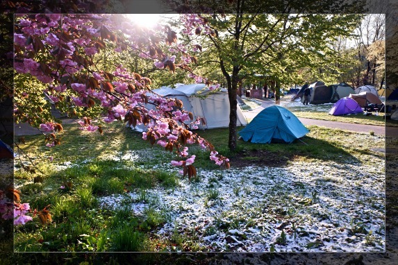 朝陽と桜と雪で数え満貫