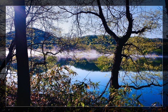 湖面からは湯気が立っている