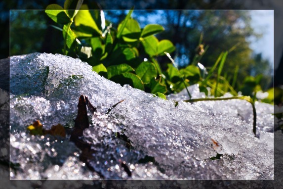 雪の中にカメラ置いて撮ってみた