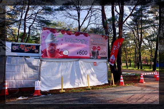 オープン前のいちごけずり