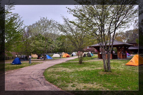 周りのテントもサクサクと撤収してた。中には新規もいたのだけど・・・