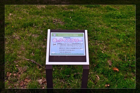 春のクイズラリー