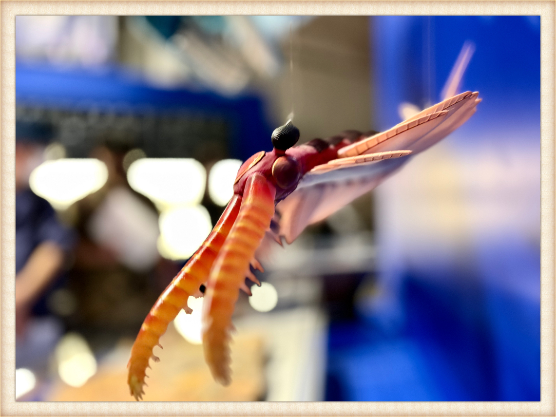 宙を舞うアノマロカリス