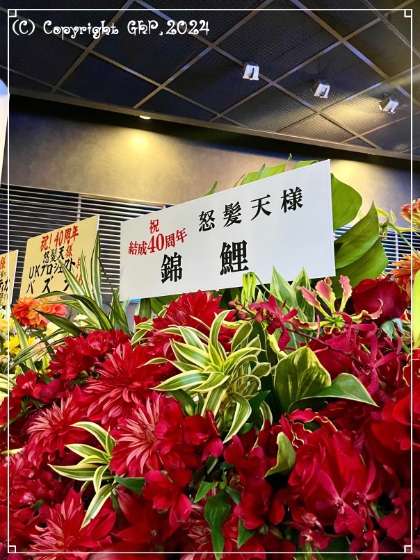 同じく道産子の錦鯉