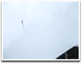 �����H������H