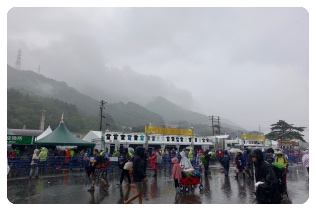 �J�̃O�b�Y�����