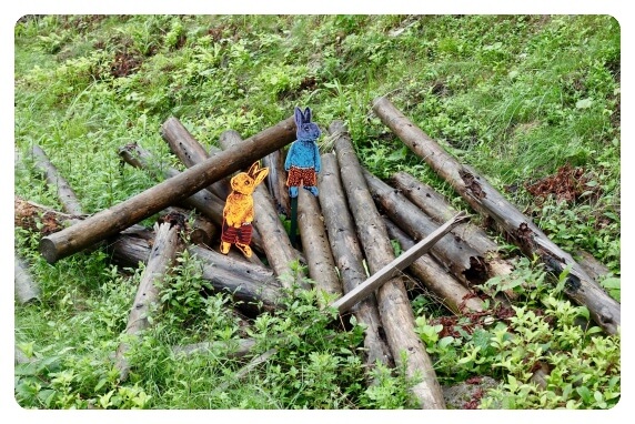 �e������