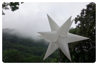 �u���[�E�M�����N�V�[�ɂ������g�Q�g�Q